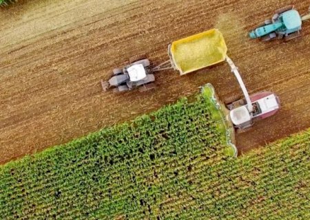 Agro vai bombar? Veja as principais tendências para 2025
