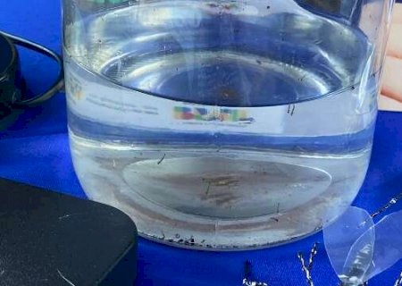 Casos confirmados de dengue j&aacute; somam 253 no Estado
