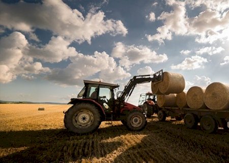 Maracaju tem vagas disponíveis no setor agrícola; inscrições vão até segunda-feira