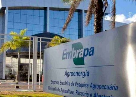 Com sal&aacute;rio de at&eacute; R$ 12 mil, concurso da Embrapa tem inscri&ccedil;&otilde;es prorrogadas