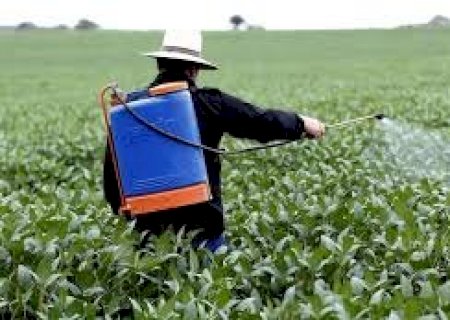 Brasil atinge marca de 800 mil t de embalagens vazias de defensivo agrícola com destino correto