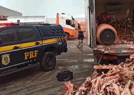 PRF apreende mais de 120 kg de cocaína escondidos em carga de ossos