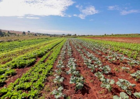 Ministério do Desenvolvimento define número de famílias em MS para programa de R$ 4,6 mil