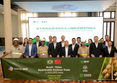 China firma acordo para comprar 1,5 milhão de toneladas de soja brasileira certificada