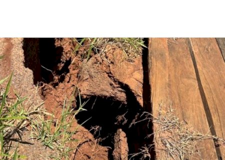 Campo Grande: Zé Teixeira pede urgência na reconstrução de ponte
