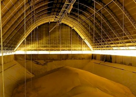 O que esperar do mercado da soja? Confira os fatores que impactam o setor