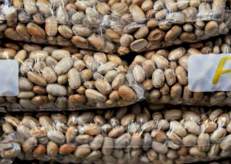 Feijão de MS é incluído na lista de produtos beneficiados pelo bônus do PGPAF