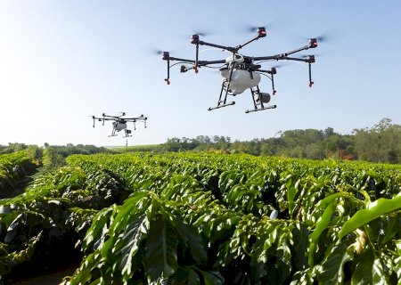 Protetor solar para plantas? Embrapa cria produto para evitar que frutas se queimem