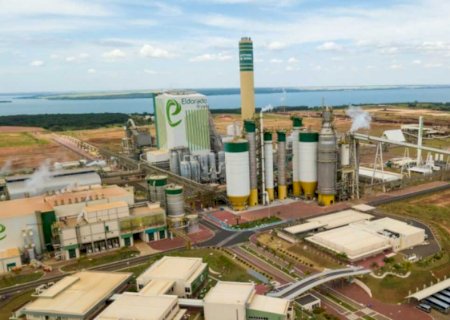 Celulose e carne bovina fazem a diferença e exportações de MS sobem 8,6%