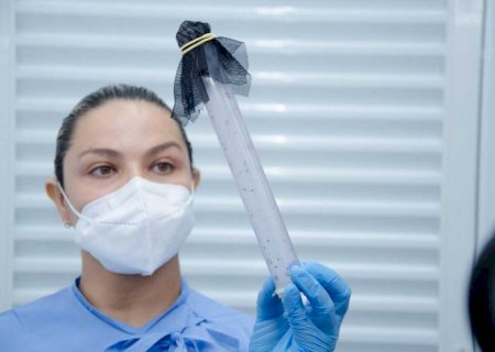 MS registra 5.014 casos prováveis de Dengue em 2025 e 3.165 de Chikungunya