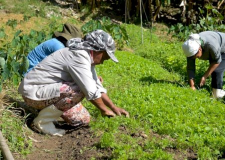 Desenrola Rural: produtores do Nordeste renegociam até 80% das dívidas