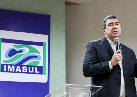 Governo define regras para reposição florestal e lança ‘app’ para facilitar processo