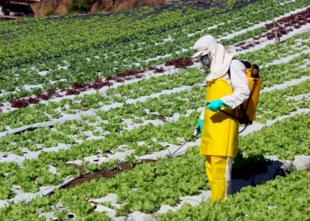 Voc&ecirc; confia nas regras sobre uso de agrot&oacute;xicos no Brasil?