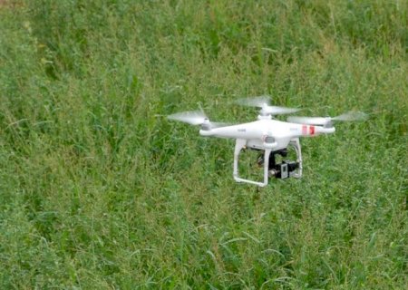 Drones detectam pragas e otimizam produção da soja