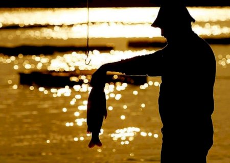 Brasil e China fazem acordo para exportação de pescados