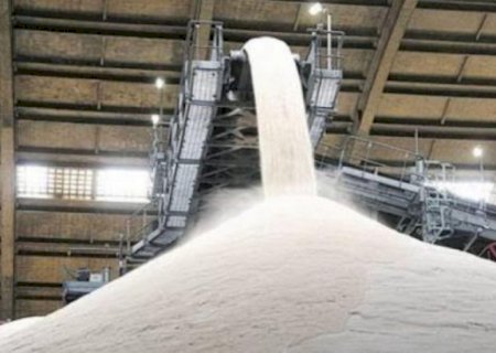 Taxas de Trump devem impactar mais de 50 produtos de Mato Grosso do Sul