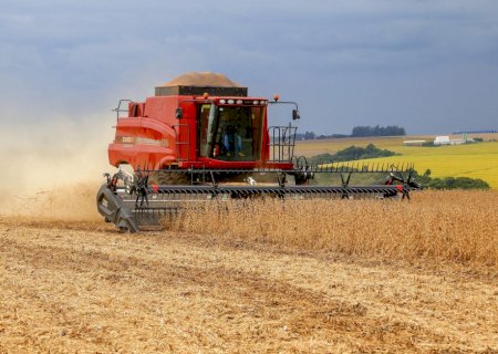 Guerra comercial, câmbio e clima: os fatores que movimentaram a soja e o milho