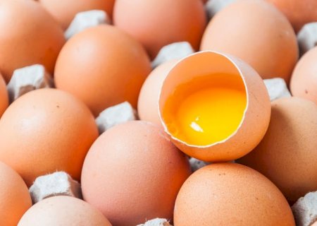 Ovos: Estados Unidos seguem dependendo do mercado brasileiro
