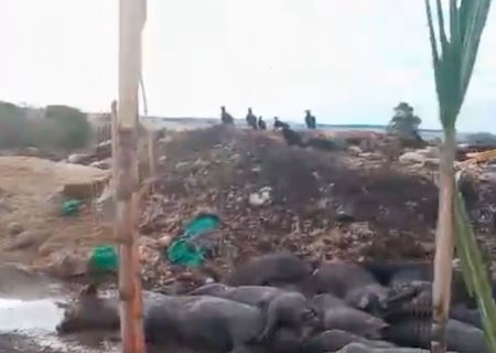 Poluição causada por empresa em Itaporã vira alvo de ação judicial (Vídeo)