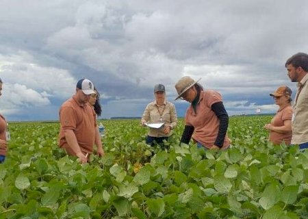 Fam&iacute;lia Scheffer investe em MS e quer pr&aacute;tica regenerativa em 100% da produ&ccedil;&atilde;o