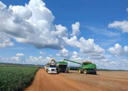 Soja e milho impulsionam alta do agroneg&oacute;cio em abril no Estado