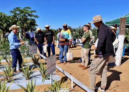 Dia de Campo na Expoagro apresenta tecnologias e atrai mais de 200 produtores