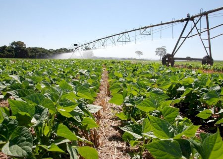 Novo mapa de aptidão agrícola mostra onde há maior potencial para agricultura no Brasil