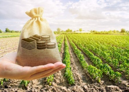 CMN ajusta regras de direcionamentos de crédito rural e do Proagro
