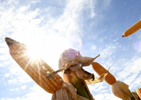 Agronegócio impulsiona PIB de Mato Grosso do Sul, que deve crescer 5,5% em 2025