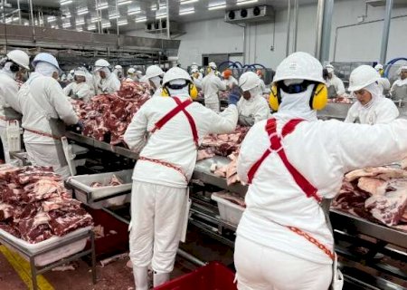 Frigor&iacute;ficos pressionam arroba e usam tarifa dos EUA como pretexto, diz Acrissul