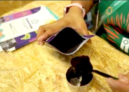 Cooperativa do Amapá investe em 'açaí em pó' para conquistar mercados