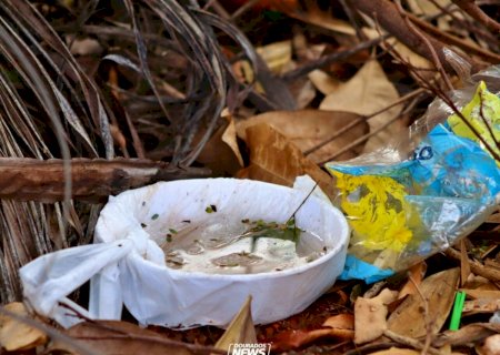 Com 17 vítimas, Saúde investiga sete mortes por dengue em MS