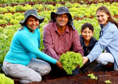 Novo recorde nas vendas da agricultura familiar é projetado após movimentação de R$ 5,1 milhões em M