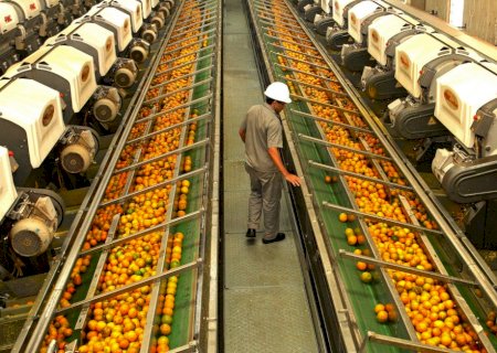Suco de laranja escapa de tarifas nos EUA graças à dependência mútua, diz CitrusBR