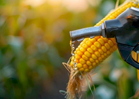 Etanol de milho transforma o campo e reposiciona o Brasil no cenário energético global
