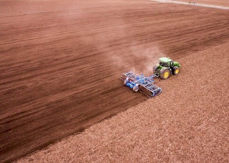 Consultoria projeta crescimento na produção de soja do Brasil em 2025/26