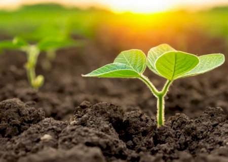 Nova molécula da Syngenta entrega uma proteção incomparável abaixo e acima do solo