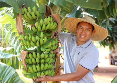 Com o Senar/MS, a terra virou sustento e orgulho para comunidade em Miranda