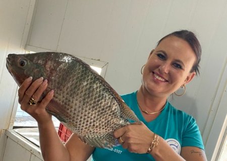 Produtores de tilápia estruturam frigorífico e conquistam selo estadual