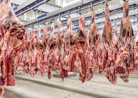 Exportação de carne bovina cresce 23,7% em junho