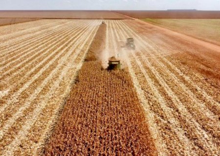 Agricultores de MS levam alimentos para o mundo e movimentam bilhões