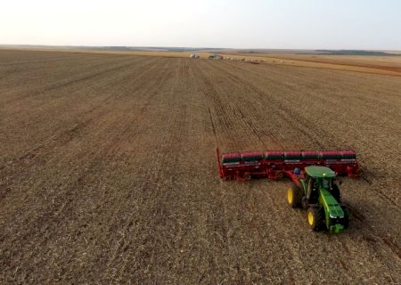 Projeção para 2025 aponta MS no topo do crescimento agropecuário nacional