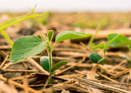 Como comunicar o agro com propósito, inovação e sustentabilidade
