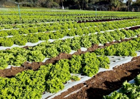 Casal goiano investe em máquinas com apoio do crédito rural