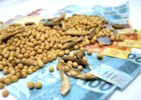 Soja segue o ritmo da semana e lentidão é destaque no mercado da oleaginosa