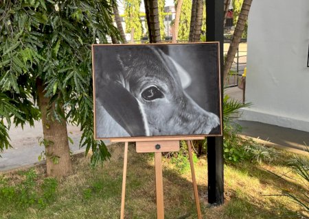 A arte de eternizar a vida no campo: fotografias de Guta Alonso