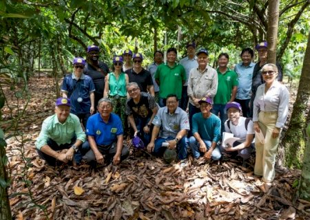 Agro paraense mostra força da sustentabilidade durante visita de diplomatas