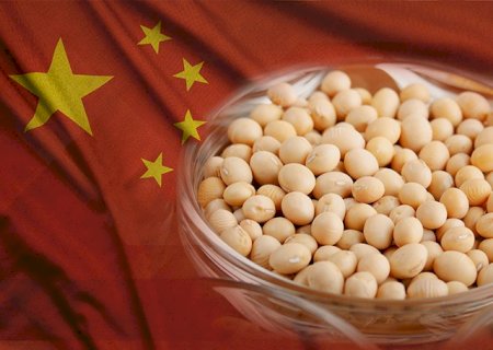 Devido ao tarifaço dos EUA, soja brasileira ganha protagonismo com compras da China