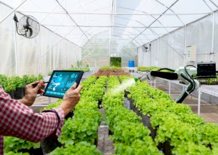 O que mais te ajudaria a usar mais tecnologia no campo?