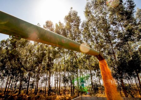 Nova revisão mantém safra recorde de grãos na Bahia em 2025